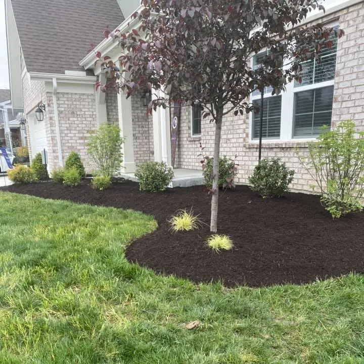 landscaping ico