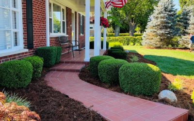 Why Regular Landscaping Maintenance is Essential for Your Property’s Health and Appearance