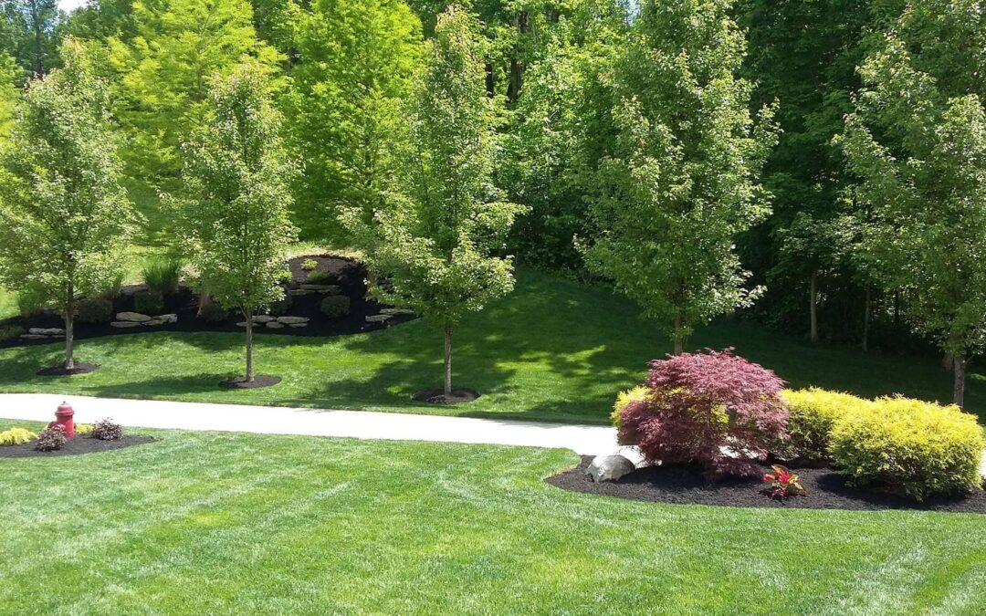 Expert Landscaping Services in Cincinnati, OH: Transforming Outdoor Spaces with Top Scapes Design