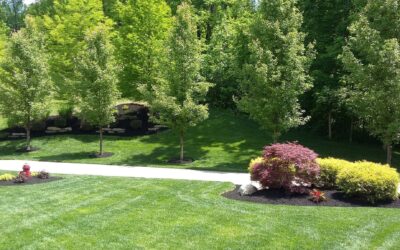 Master the Art of Landscaping Maintenance with Top Scapes Design in Cincinnati, OH: A Comprehensive Guide