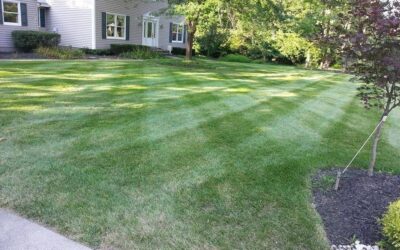 Master the Art of Lawn Mowing in Cincinnati, OH with Top Scapes Design: Your Ultimate Guide to Perfect Grass Maintenance