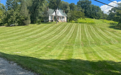 Lawn Mowing for Large Yards: Tips and Strategies