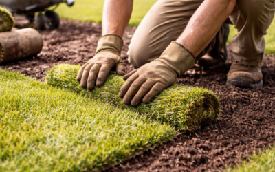 Home 10 How Do I Choose the Right Landscaper in Loveland, OH?