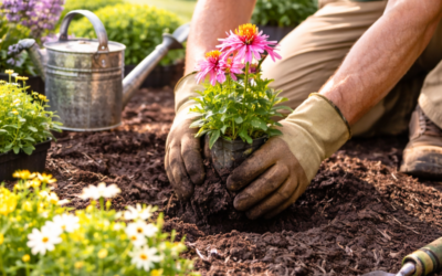 What services do landscape designers in Loveland, OH offer?